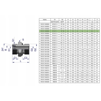Przyłączka hydrauliczna BB XGE M14x1.5 08L x 1/8