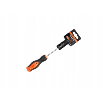 Wkrętak krzyżowy PZ 1x100mm TEGER, T-W-WKK008