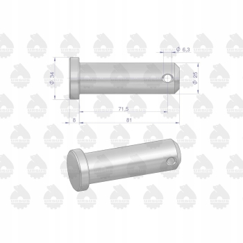 Sworzeń przegubu dźwigni dolnej 80450096 88450083 C-385 ORYGINAŁ URSUS
