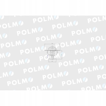 Termostat 2856543 Steyr. New Holland. Case POLMO